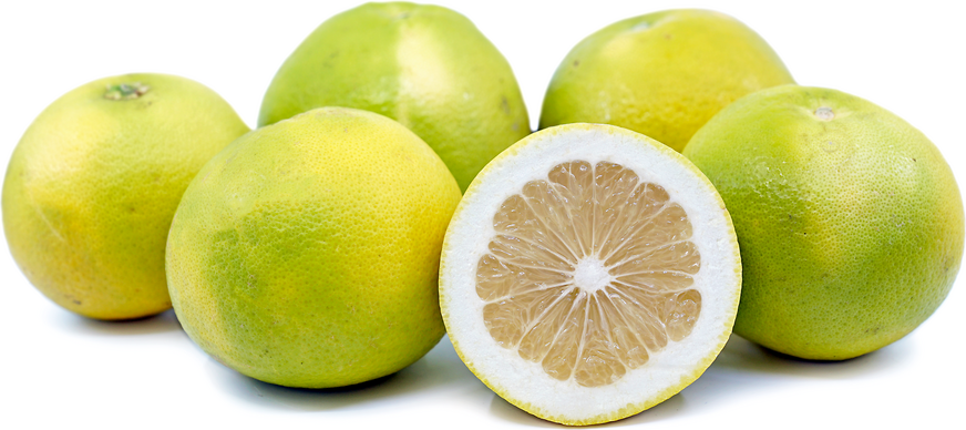 Oro Blanco Grapefruit picture