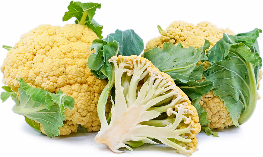 Orange Cauliflower picture