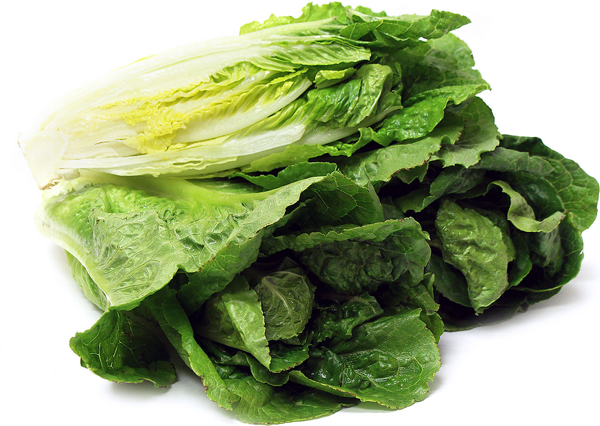 Romaine Lettuce picture