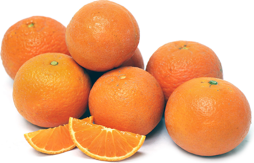 Page Tangerines picture