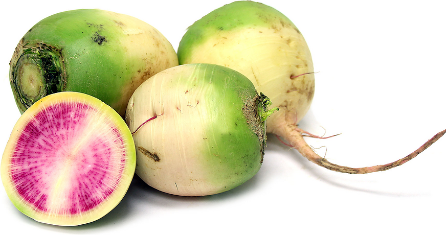 Organic Radish Watermelon picture