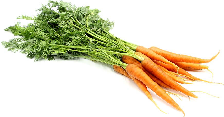 Baby Bunched Carrots picture