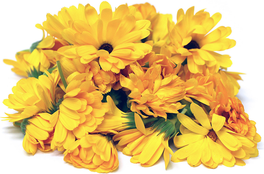 Calendula Flowers picture