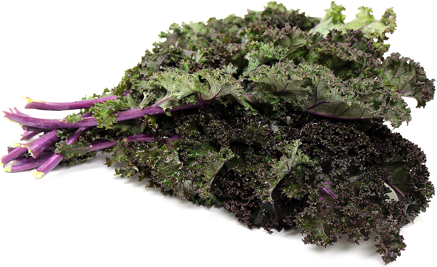 Red Russian Kale picture