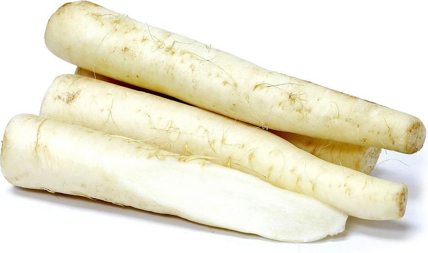 Organic Daikon Radish picture