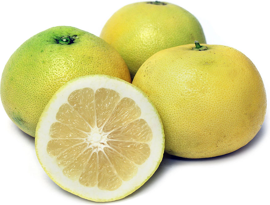 Oro Blanco Grapefruit picture