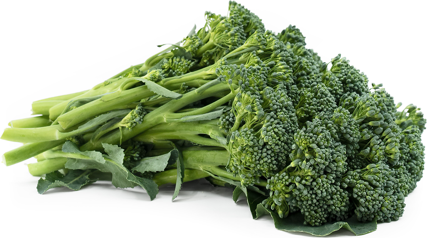 Baby Broccoli picture