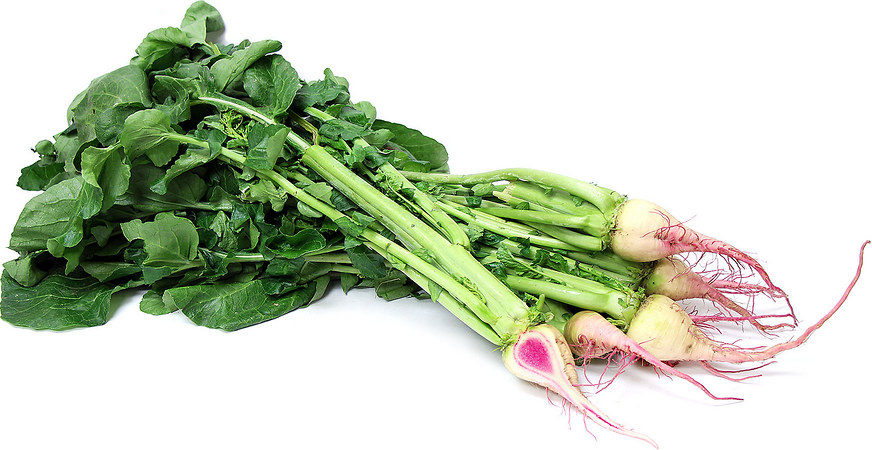 Watermelon Radish picture