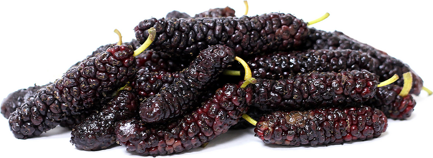 Pakistan Mulberries picture