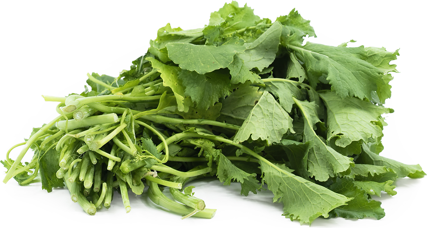 Rapini picture