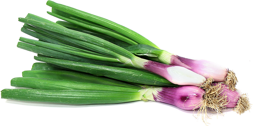 Red Torpedo Onions picture