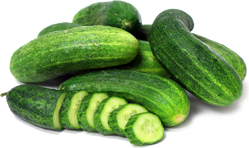 Pickling Cucumbers picture