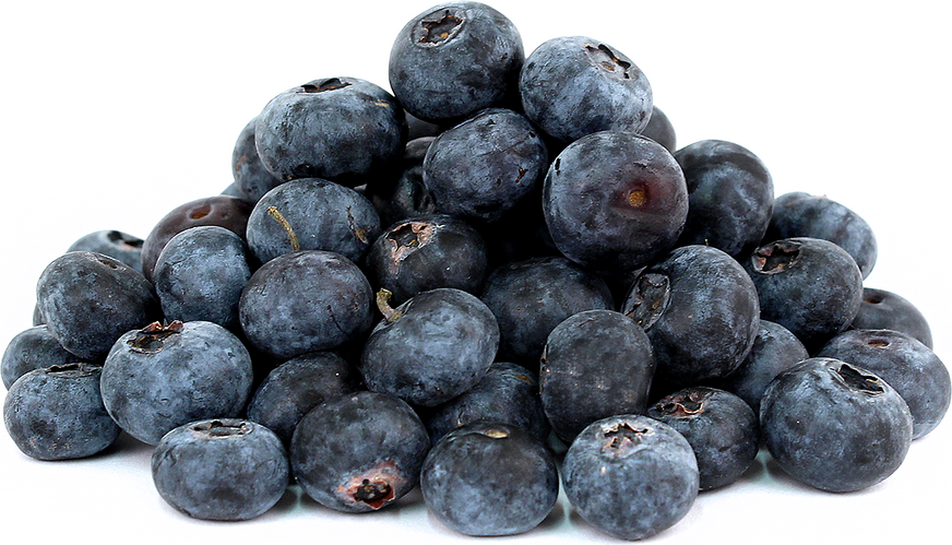 Blueberries picture