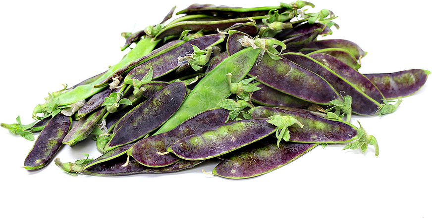 Purple Snow Pea picture