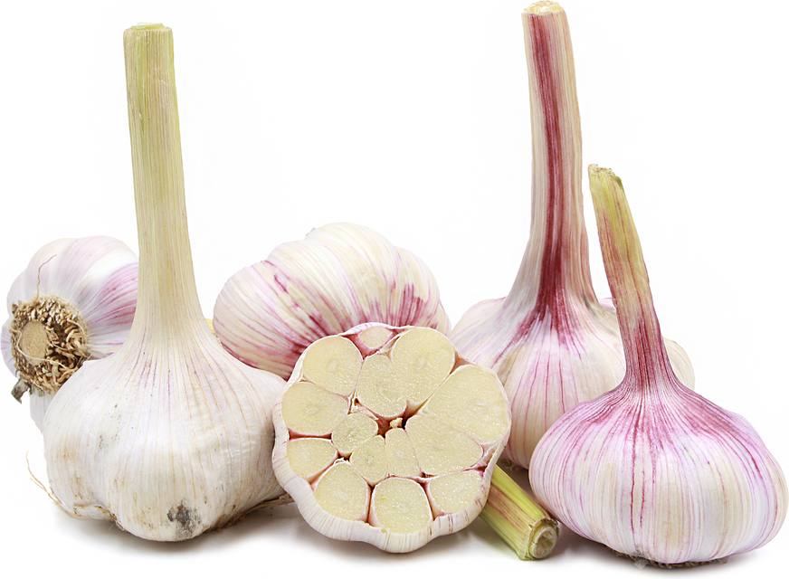 Heirloom Garlic picture