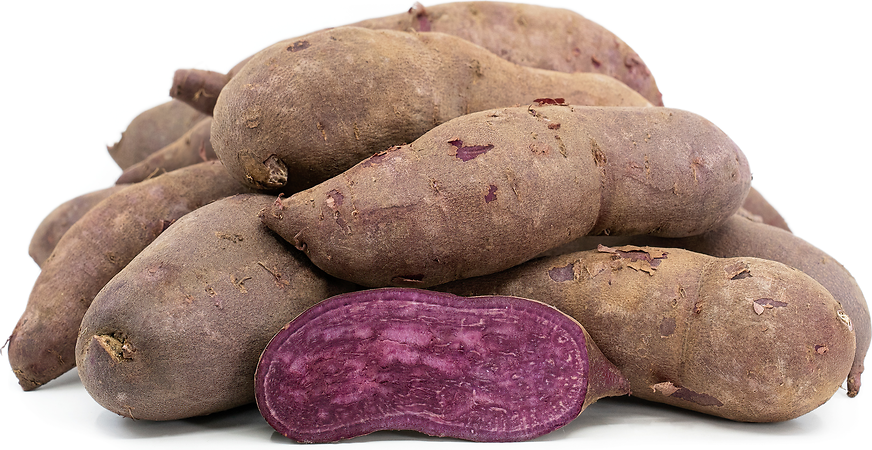 Purple Sweet Potato picture