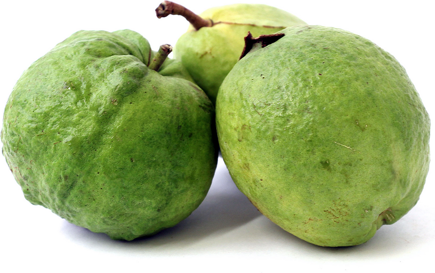 Thai Guavas picture