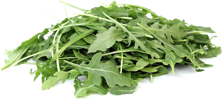 Arugula picture