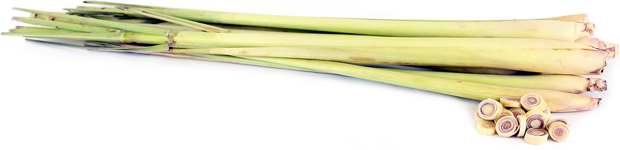 Organic Lemongrass picture