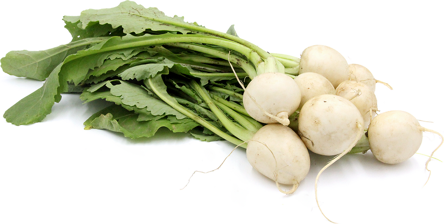 Japanese Turnips picture