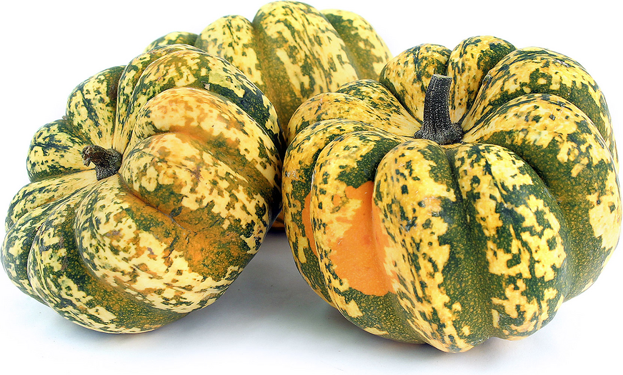 Carnival Squash picture