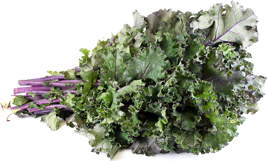 Scarlet Kale picture
