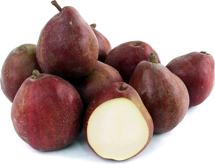 Red Anjou  Pears picture