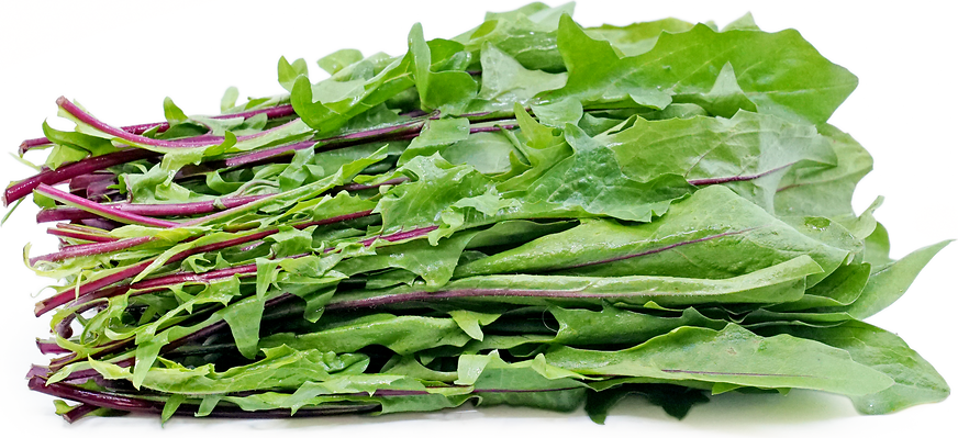 Red Dandelion Greens picture