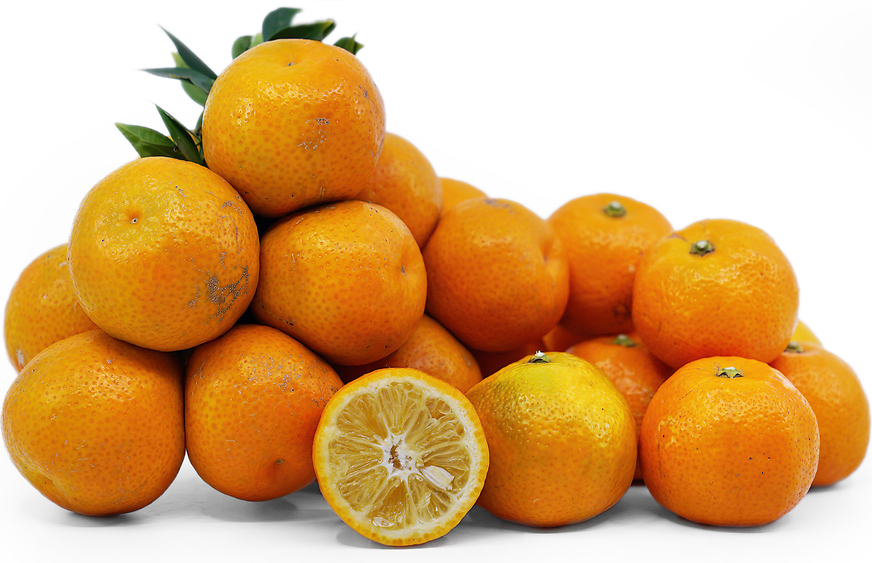 Chinotto Oranges picture
