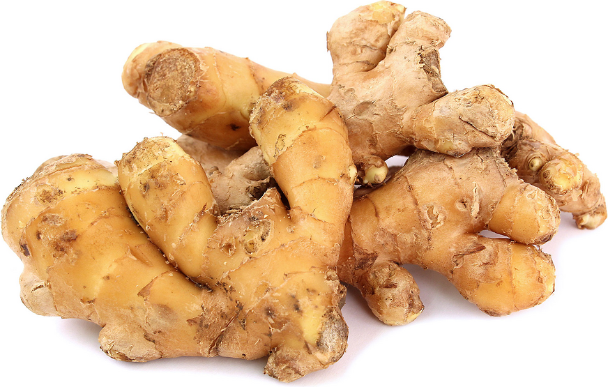 Ginger Root picture