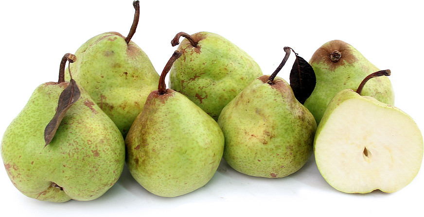 Green Anjou Pears picture