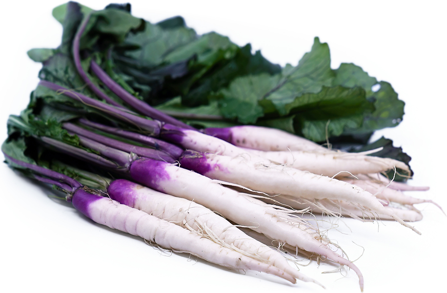 Hinona Kabu Turnips picture