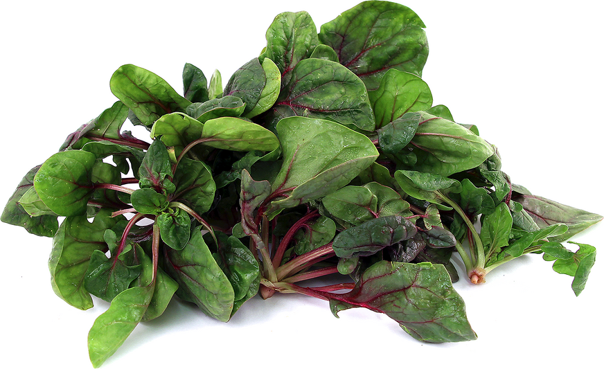 Red Spinach picture