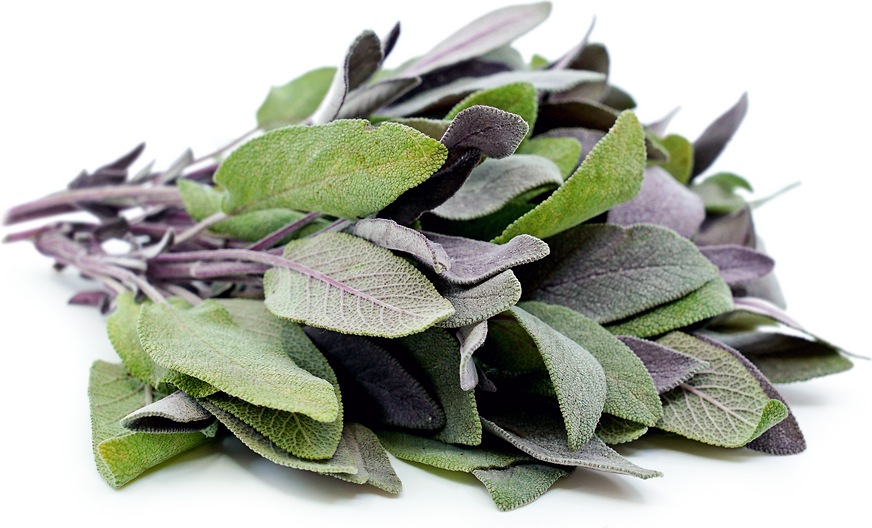 Purple Sage picture