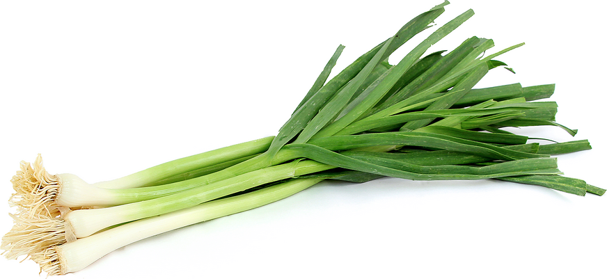 Green Garlic picture