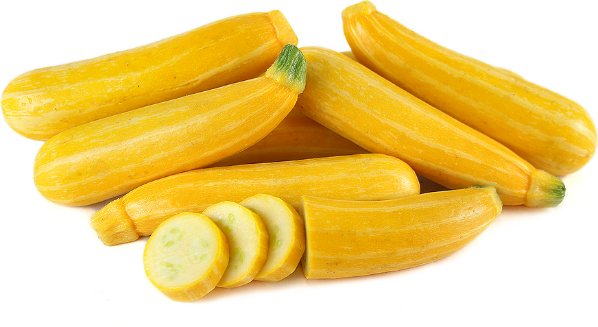 Goldmine Zucchini Squash picture