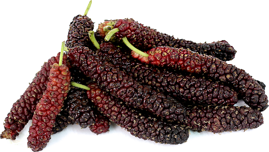 Pakistan Mulberries picture