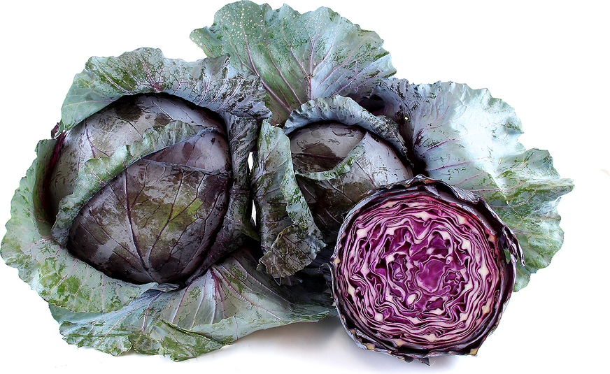 Red Cabbage picture