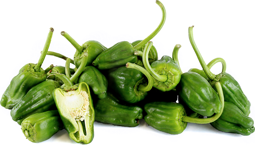 Padron Chile Pepper picture