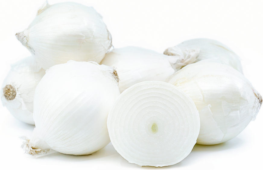 White Onions picture
