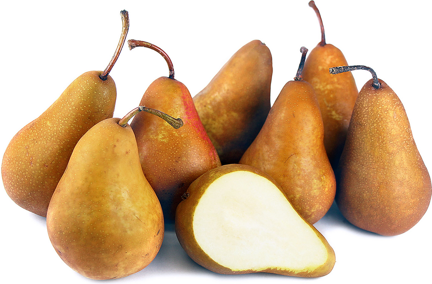 Organic Bosc Pears picture