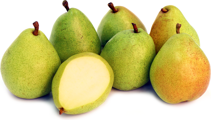 Organic Anjou Pears picture