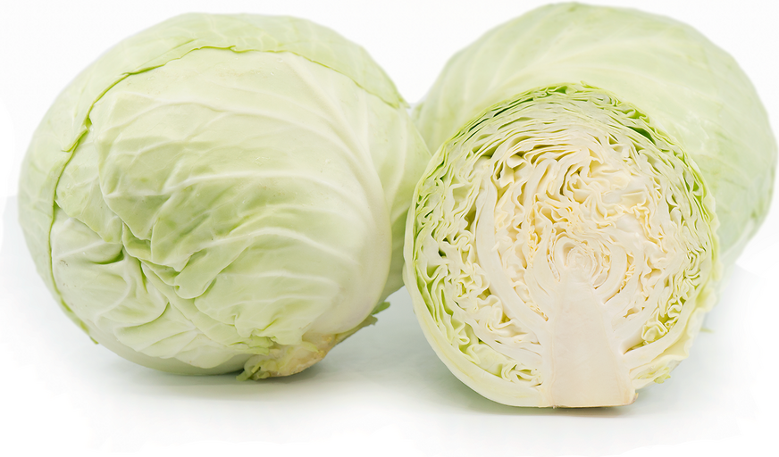 Organic Green Cabbage picture