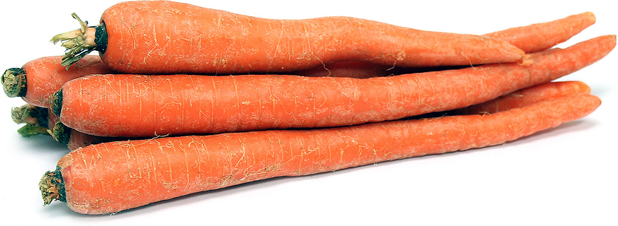 Organic Table Carrots picture