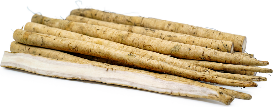 Burdock Root (Gobo) picture