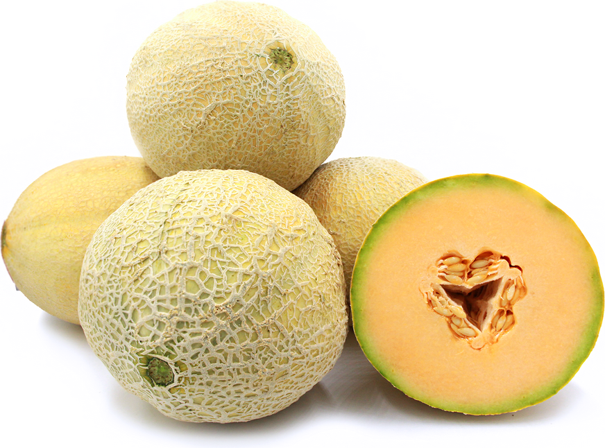 Athena Melon picture