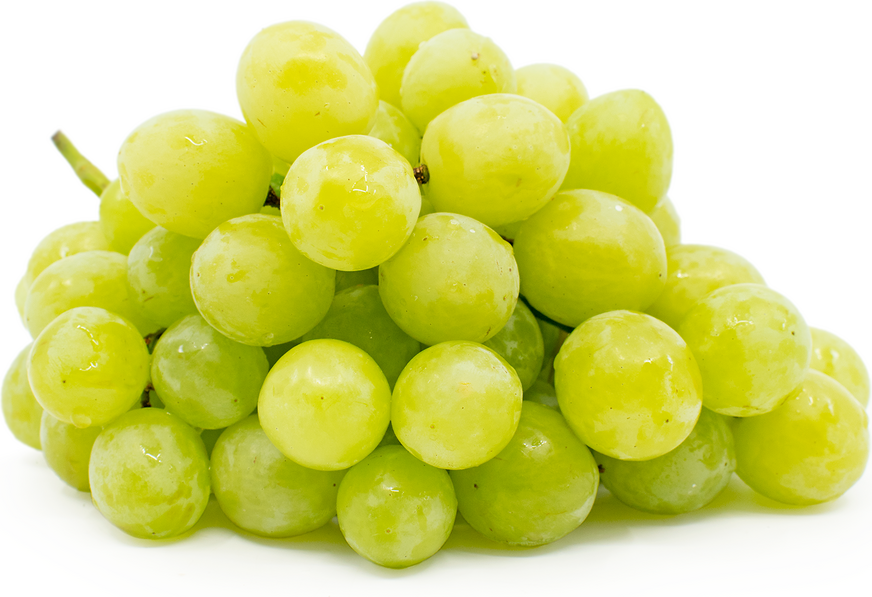 Valley Pearl Grapes picture