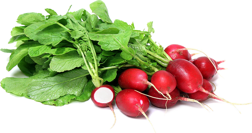 Organic Radishes picture