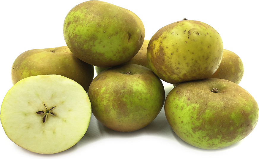 Russet Apples picture