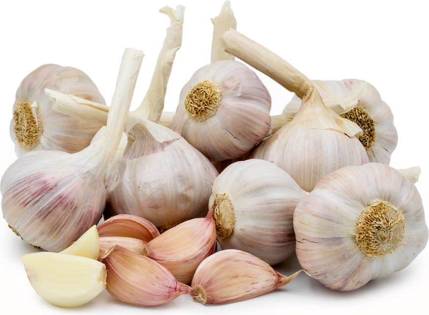 Lautrec's Pink Garlic Information, Recipes and Facts